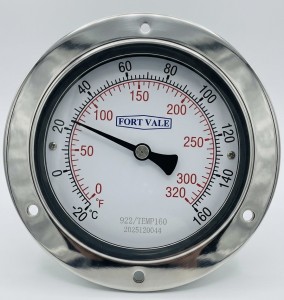 Termometr Stal Nierdzewna  Fort Vale   -20/160 ° C  